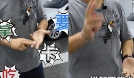 蔡老板爆料车评人视频,车评人视频背后的真相曝光！